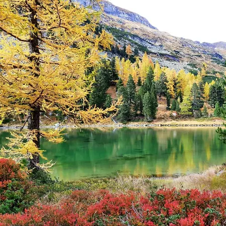 샬레 Alpenchalets Weissenbacher 탐스베그