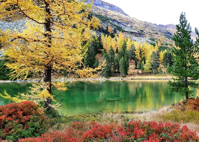 Chalet Alpenchalets Weissenbacher Tamsweg